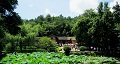 長沙出發(fā)到花明樓、韶山、張家界國家森林公園、天門仙山國家森林公園四日游